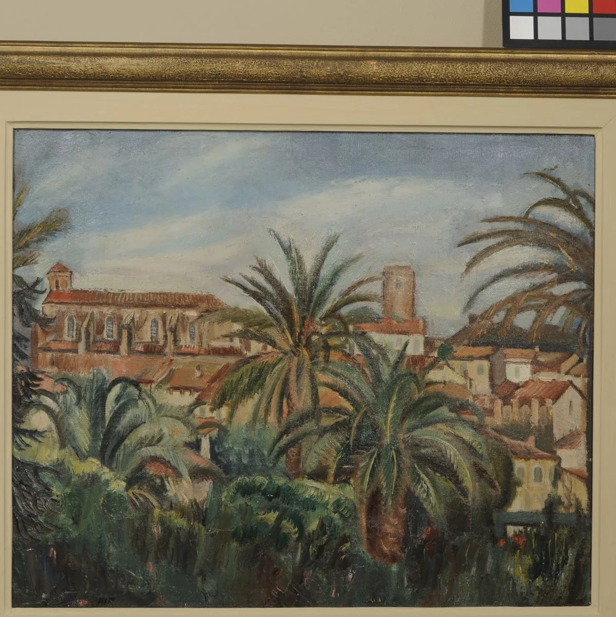 Peisaj exotic. Vedere din Cannes