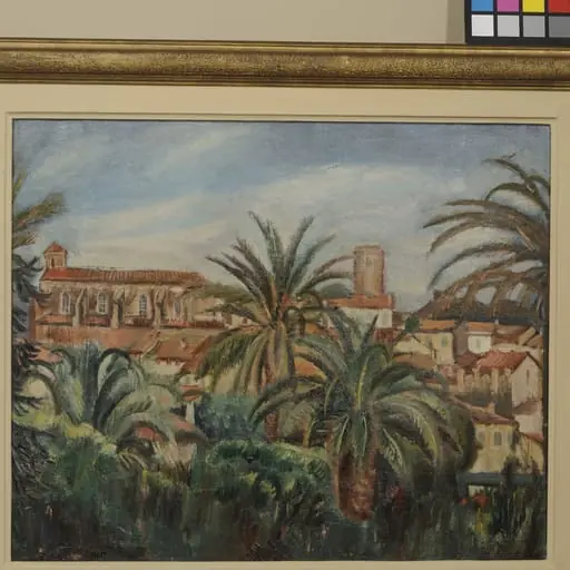 Peisaj exotic. Vedere din Cannes