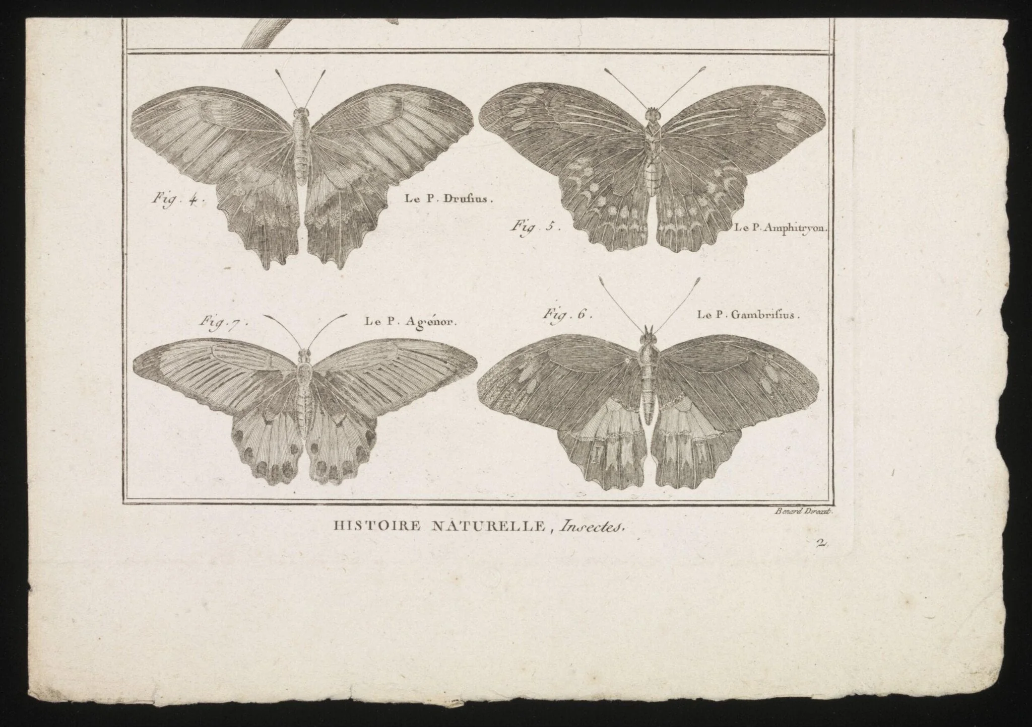 Untitled, by Charles-Joseph Panckoucke, 1784