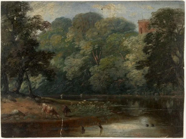 Cattle Drinking