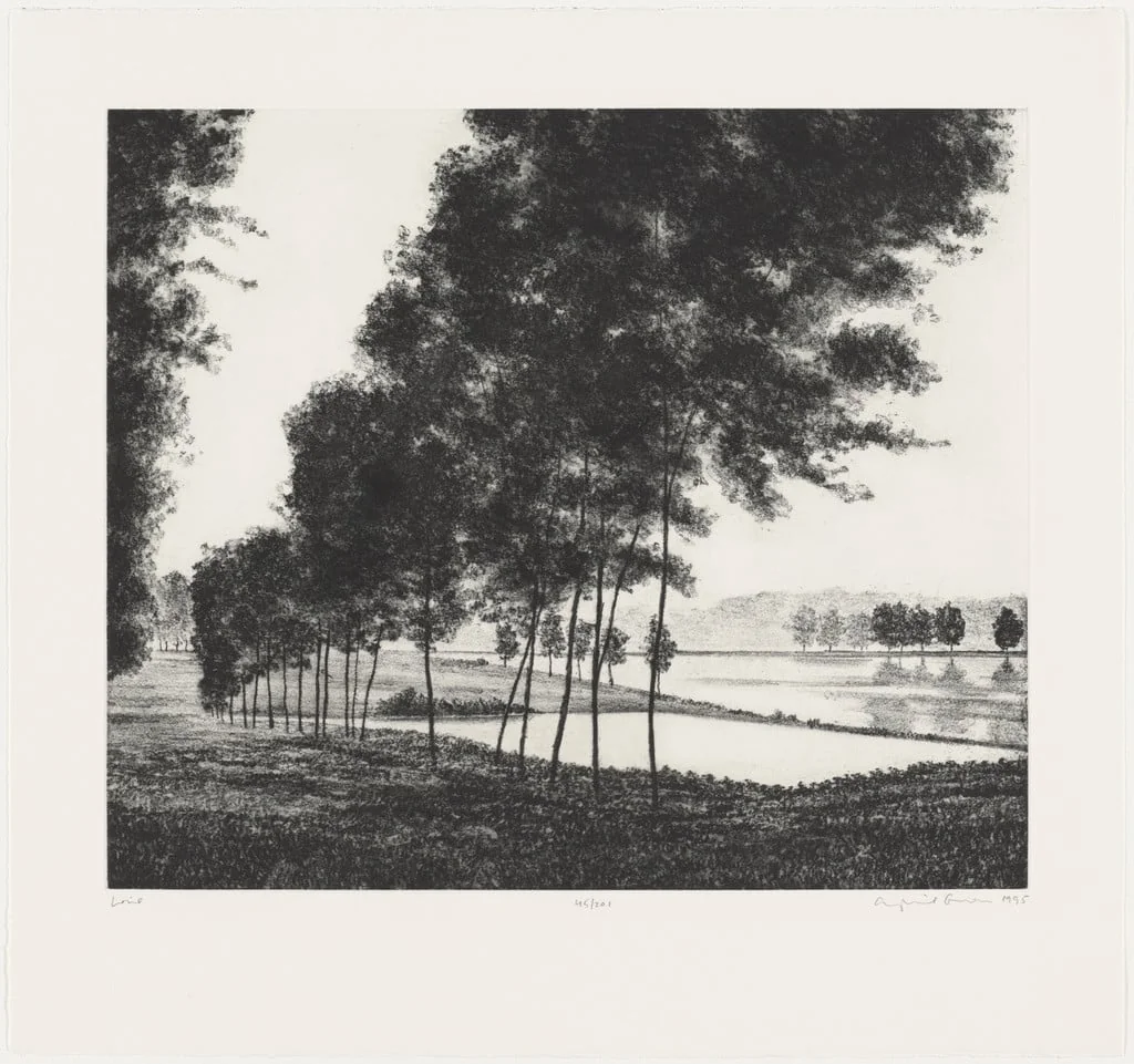Untitled, by April Gornik, ink, 1995
