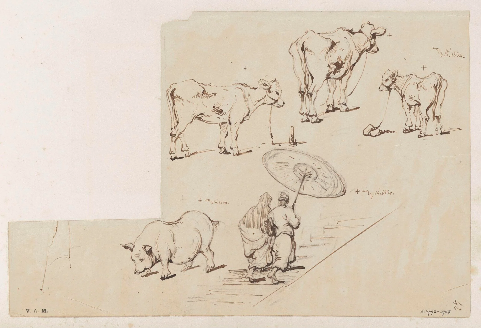 Figures ascending a staircase, a pig, a cow and two calves, by George Chinnery, 12
