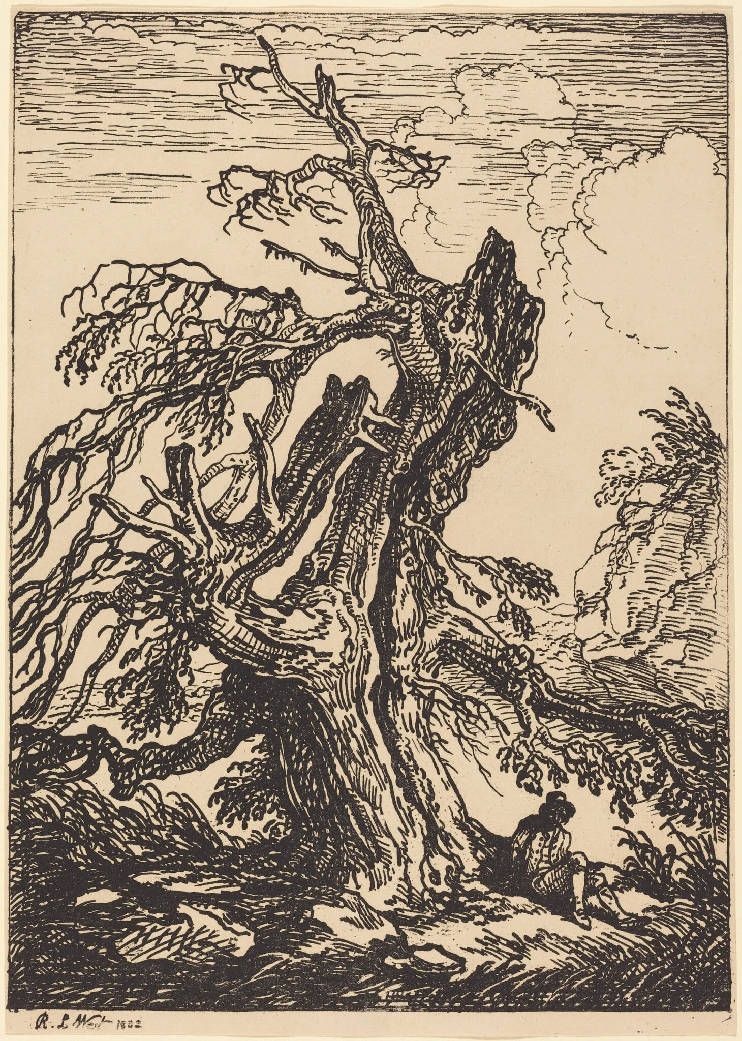 Study of a Tree