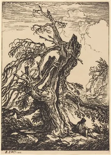 Study of a Tree