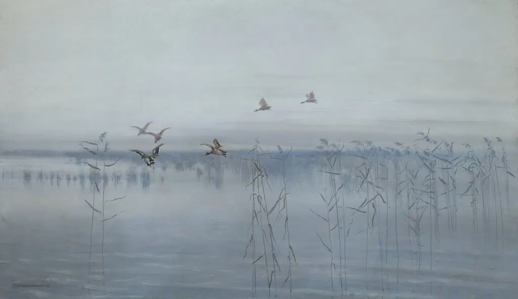 Ducks over Swamps