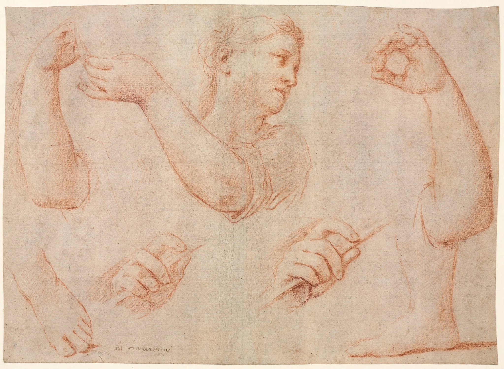 Study of a Young Woman Playing a Tambourine, and Studies of an Arm, Hands, and Feet (Studies for  "Miriam Leading the Chorus of Women Who Give Thanks for the Routing of Pharoah", by Marcantonio Franceschini, 1711