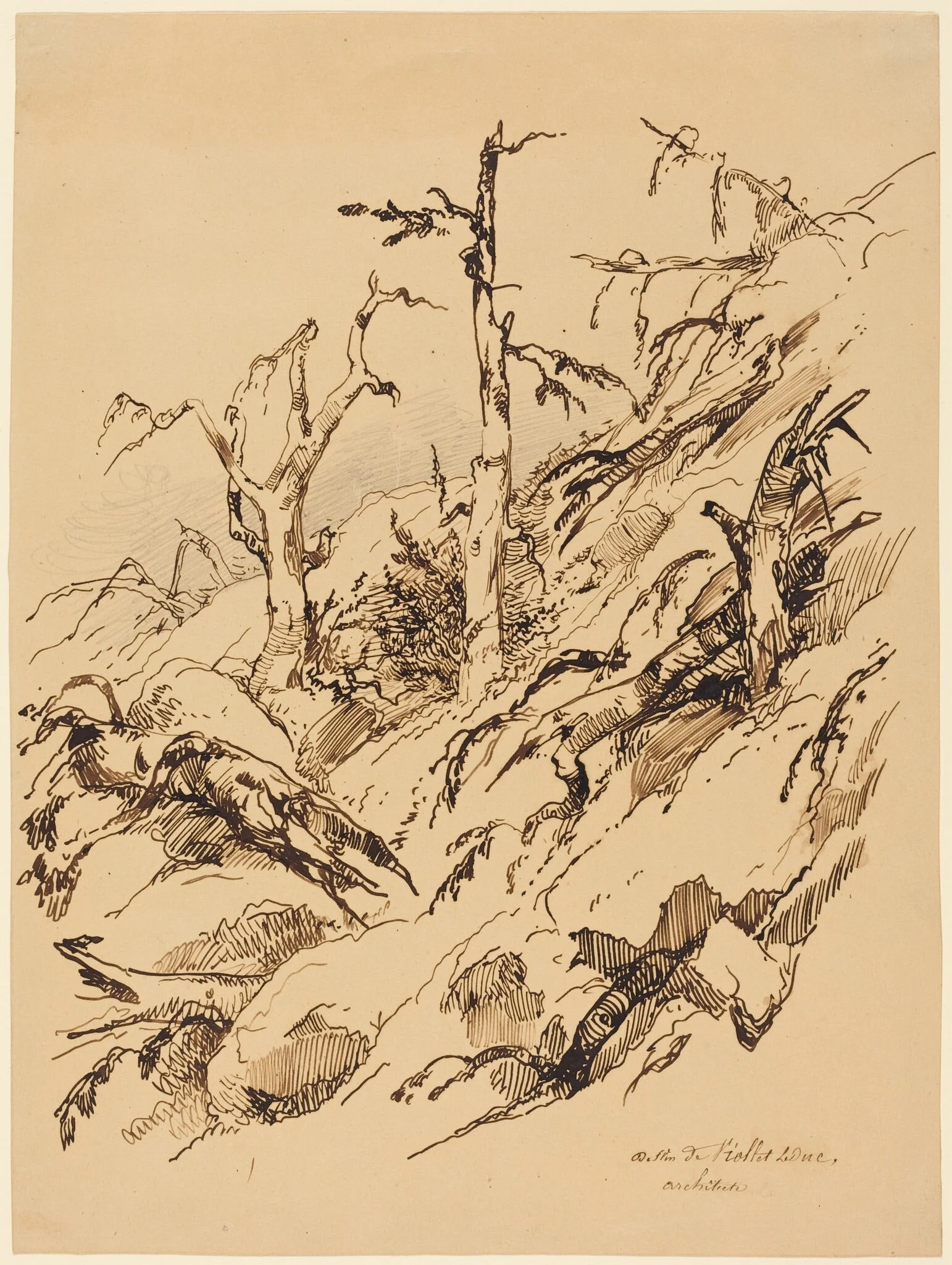 A Rocky Hillside with Dead and Dying Trees, by Adolphe Etienne Viollet-Le-Duc II, ink, 1848