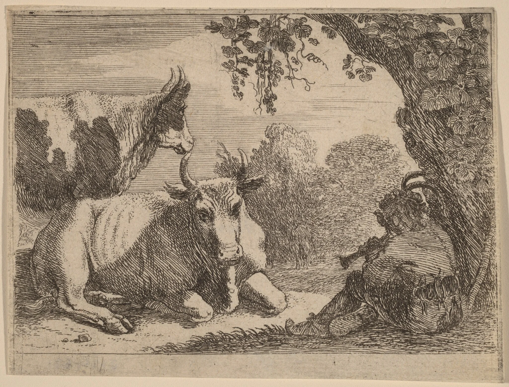Cows, by Herman van Swanevelt, ink, 1628