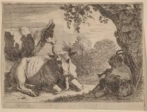 Cows