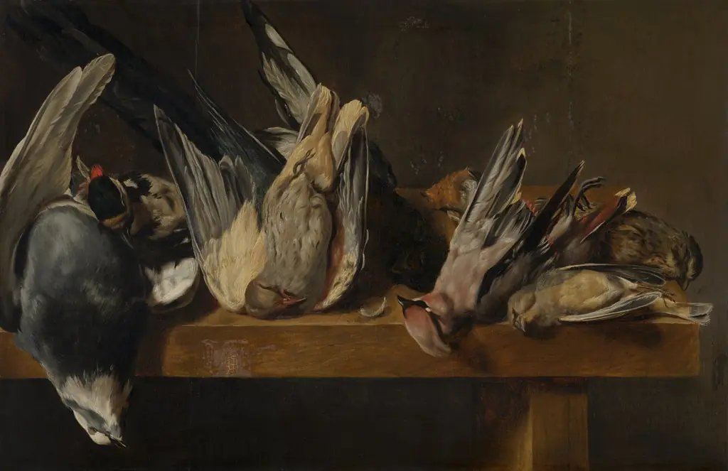 Dead Birds
