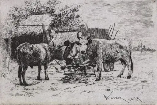 Înjugatul boilor (III)