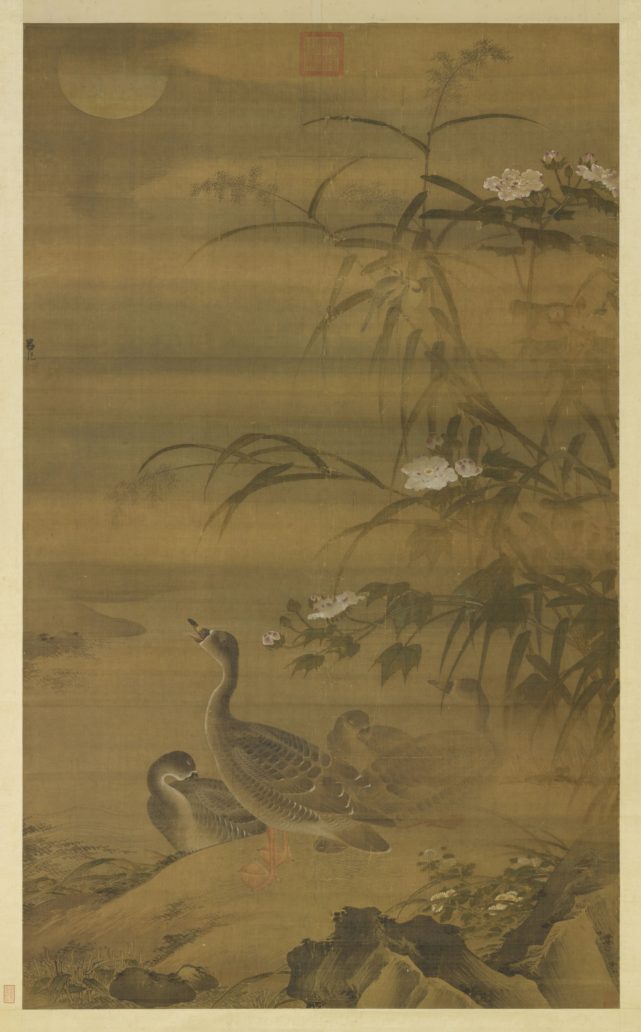 Waterfowl Among Autumn Shoals