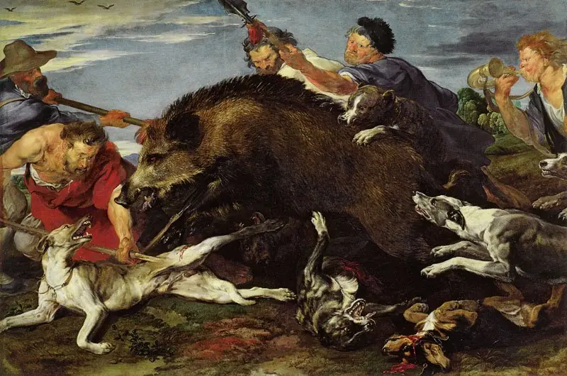Boar hunt