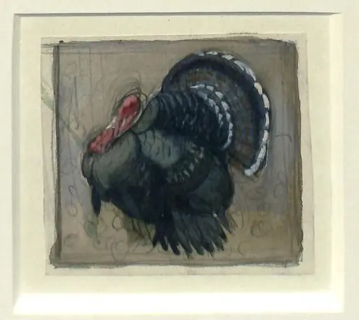 Turkey Cock