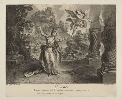 H Beard Print Collection