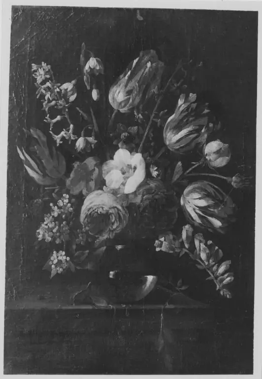 Display of Flowers