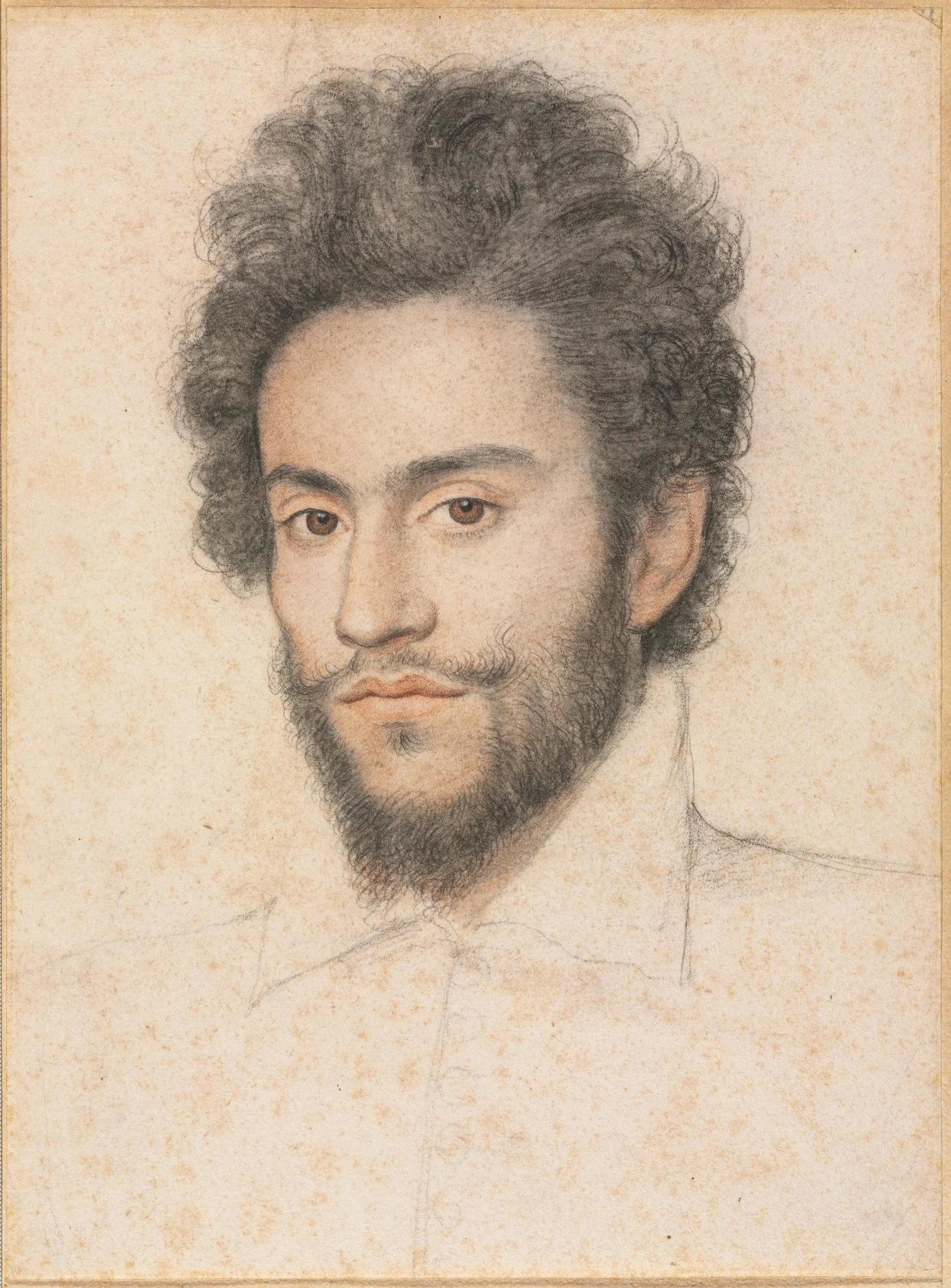 Young Man with a Beard, by François Quesnel, 1650