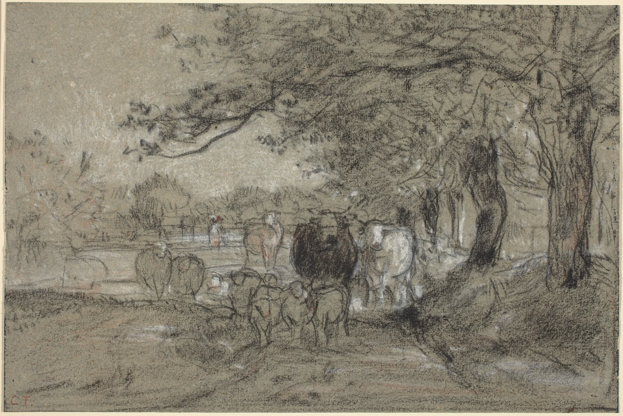 Cows and Sheep under Trees, by Constant Troyon, charcoal, 1850
