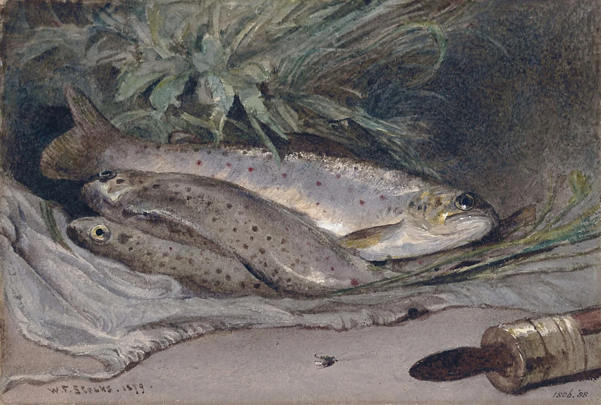 Group of trout, by Walter Fryer Stocks, watercolor, 1879