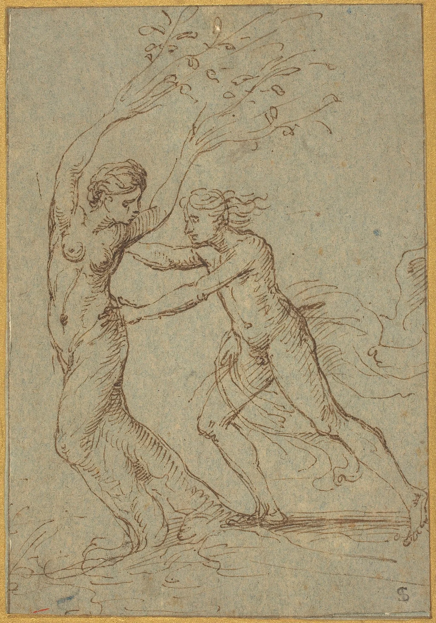 Apollo and Daphne, by Giulio Romano, ink, 1522