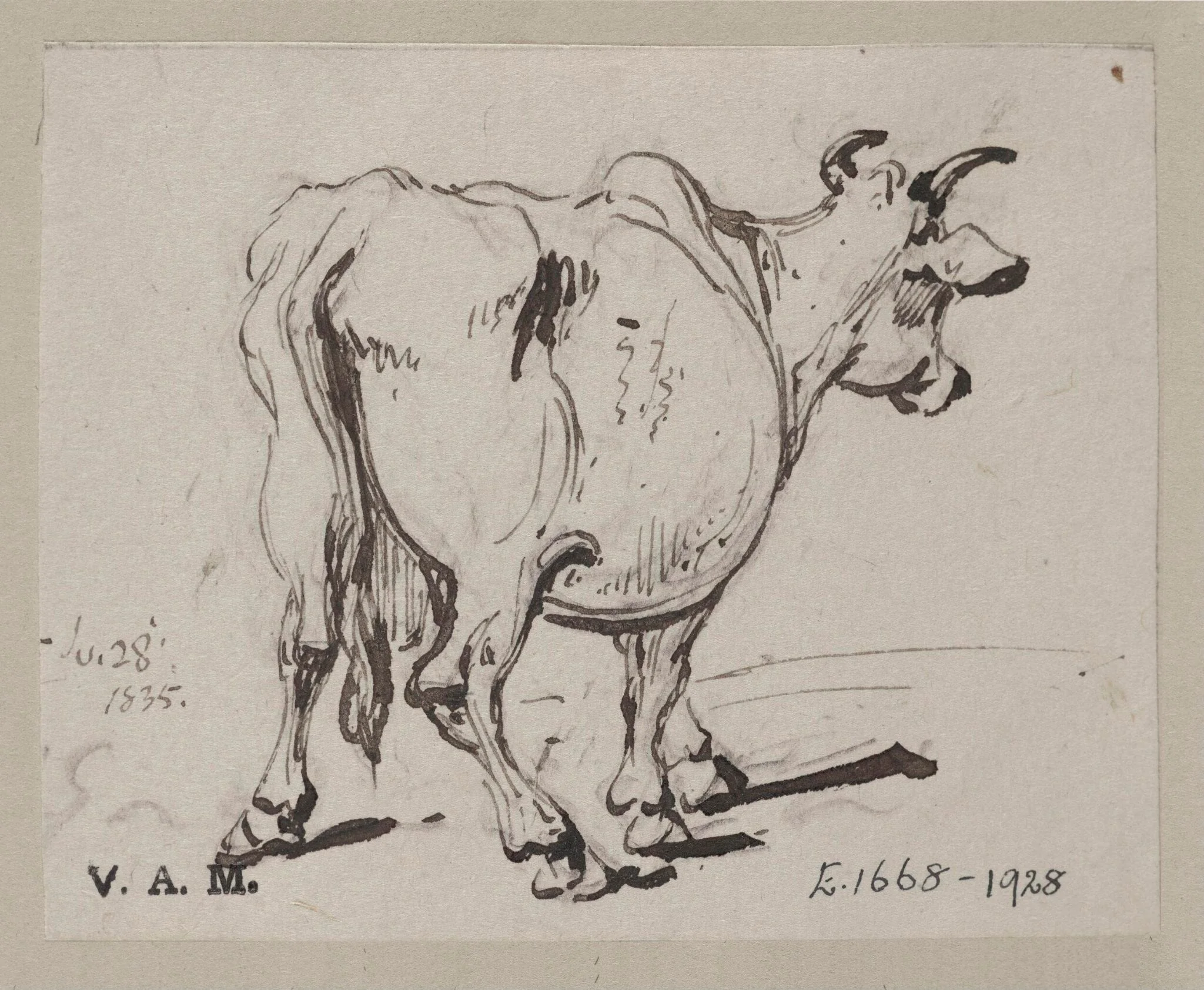 A cow seen from behind, by George Chinnery, 18