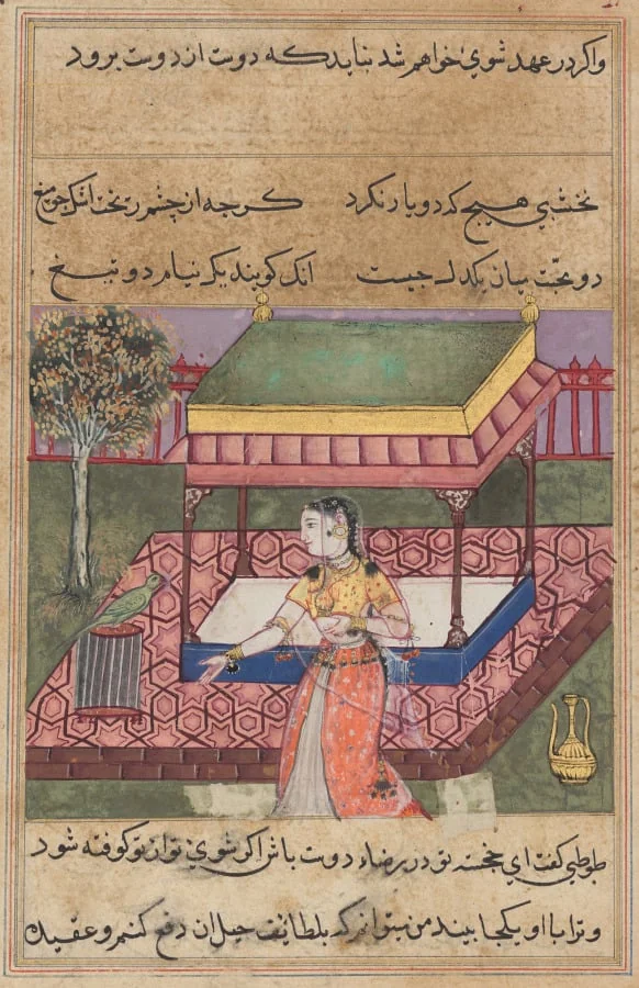The parrot addresses Khujasta at the beginning of the fortieth night, from a Tuti-nama (Tales of a Parrot), by Unknown, unspecified, 1560
