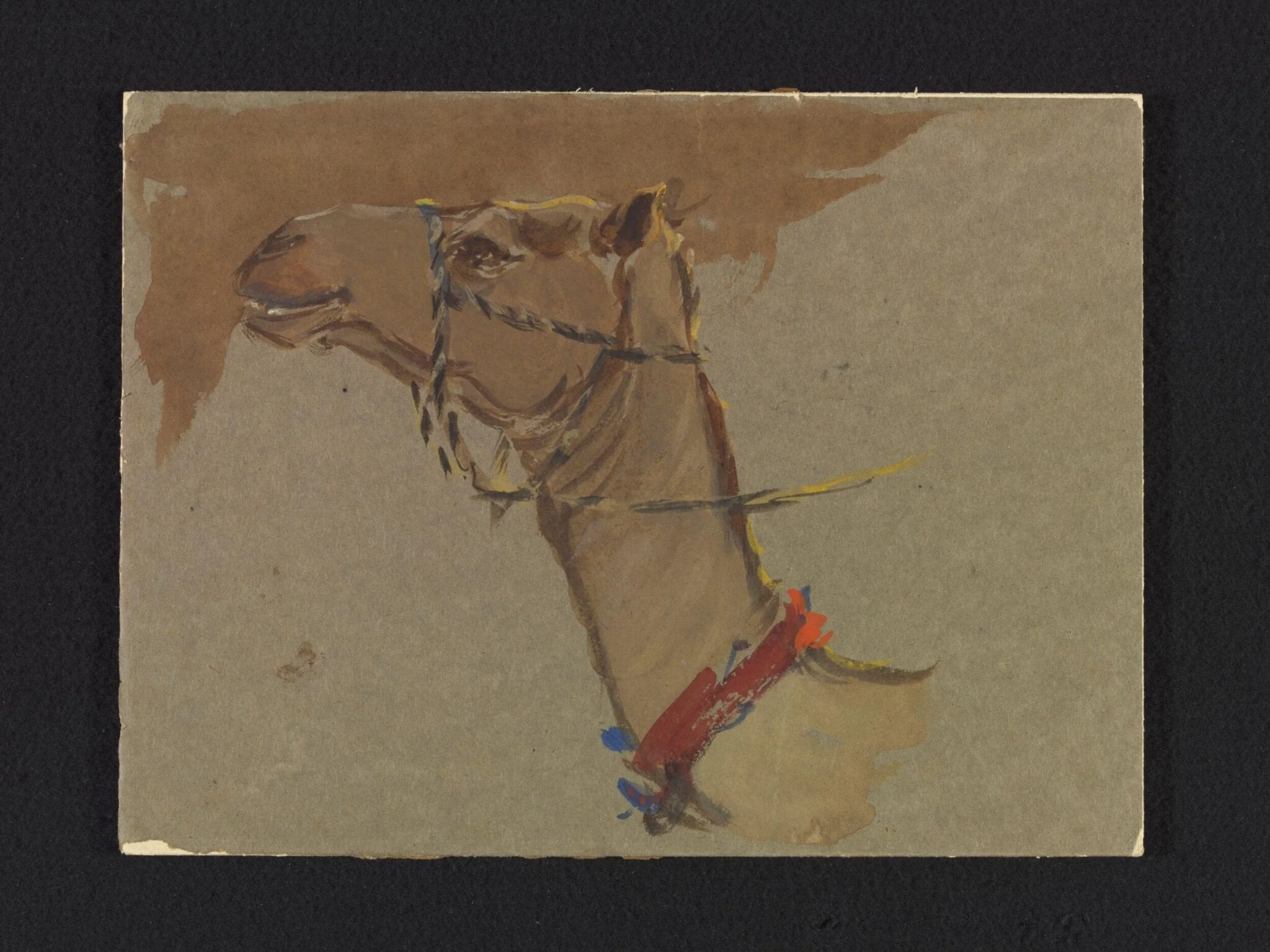 Study of a camel's head, by John J. Alsop, watercolor, 1954
