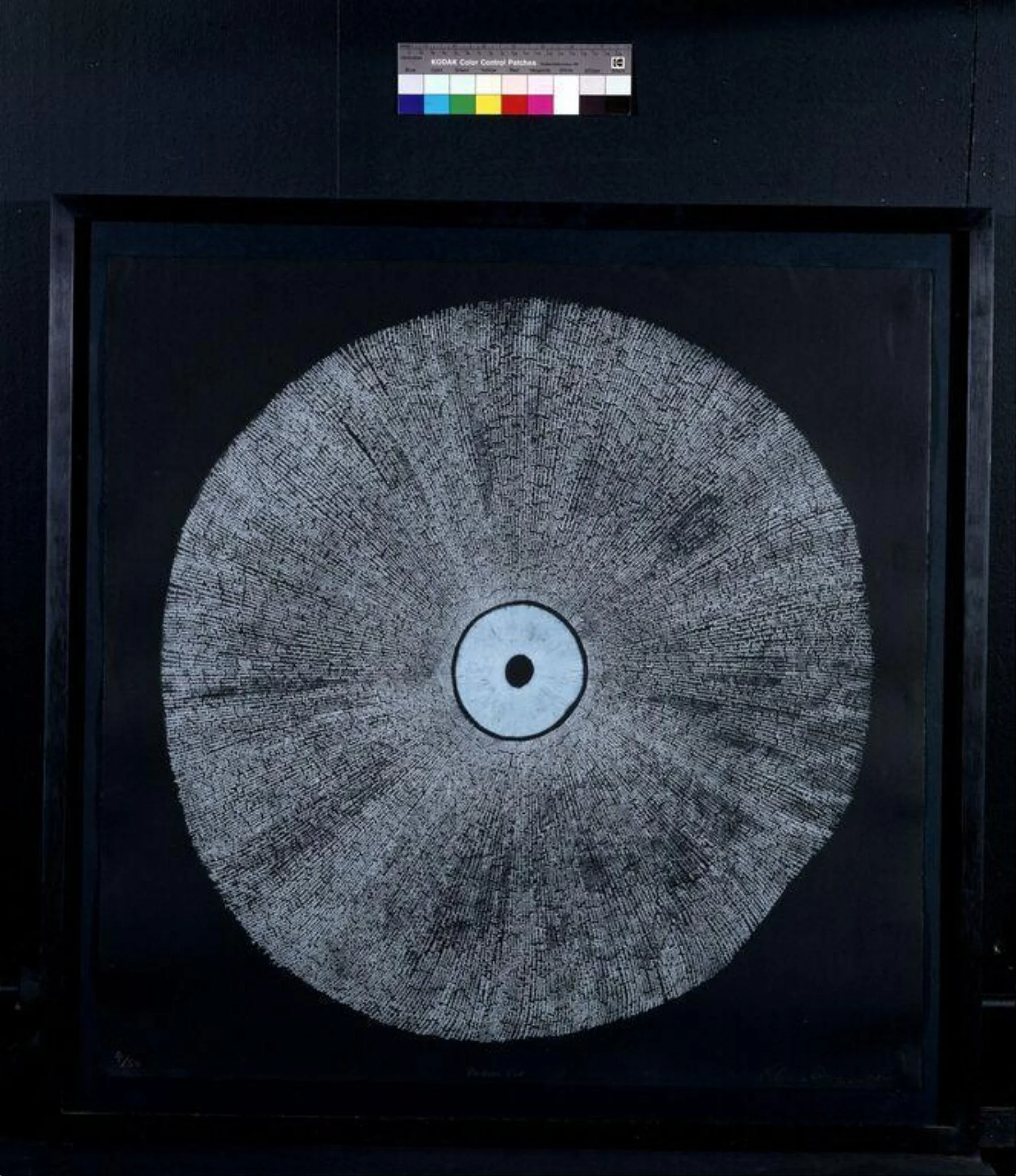 Poison Pie, by Chris Drury, 2000