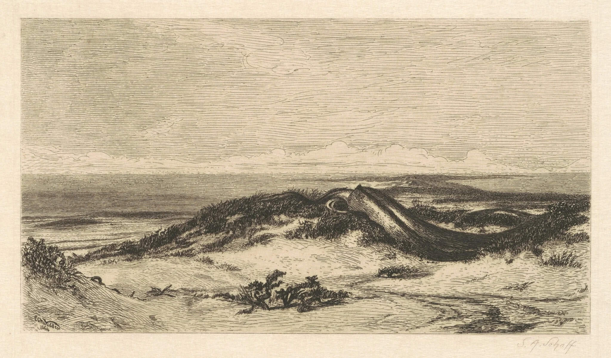 The Sea Serpent