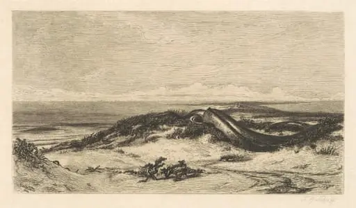 The Sea Serpent