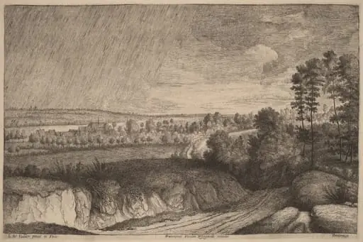 Rainy Landscape