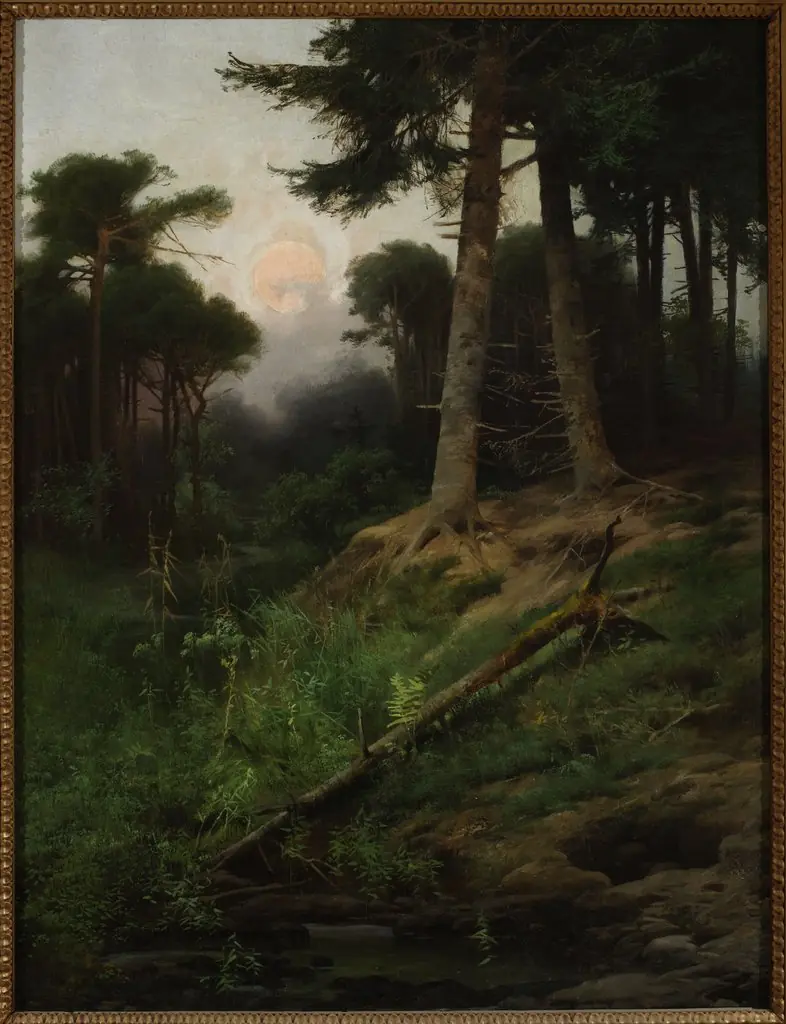 Forest landscape at sunrise