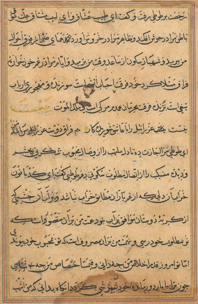 Page from Tales of a Parrot (Tuti-nama): text page