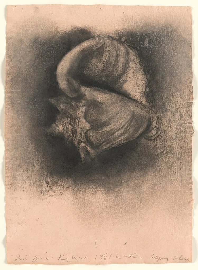 Untitled, by Jim Dine, charcoal, 1981