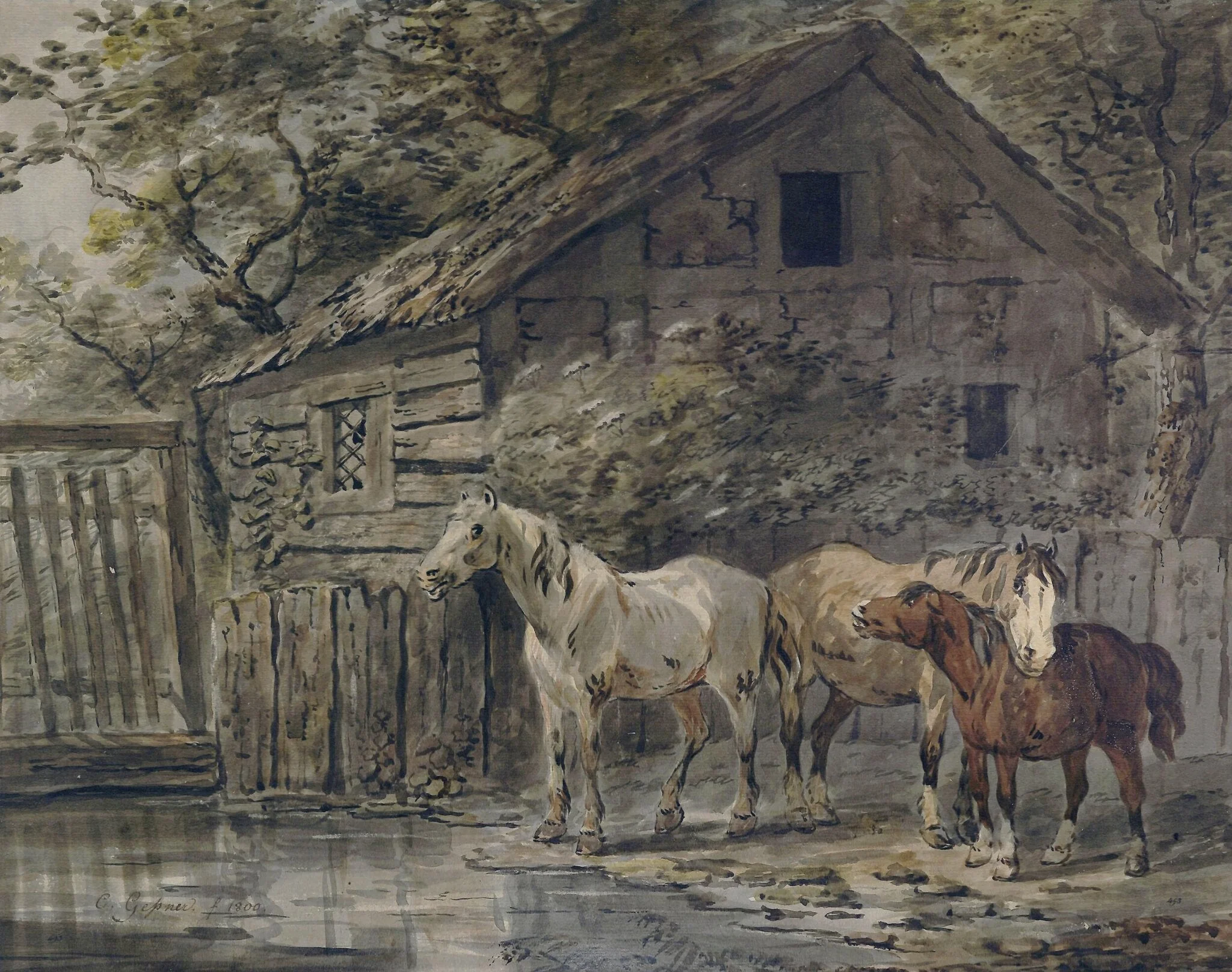 Horses at a Pool