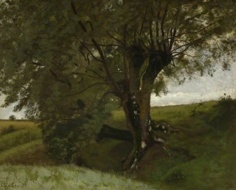 Landscape with an ash tree