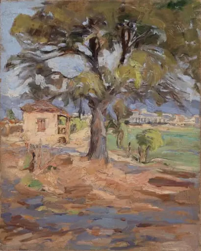 Landscape, tree and houses