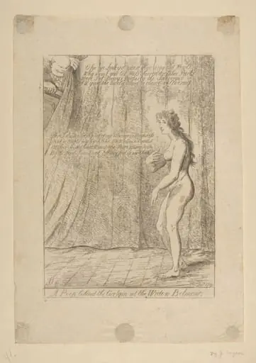 H Beard Print Collection