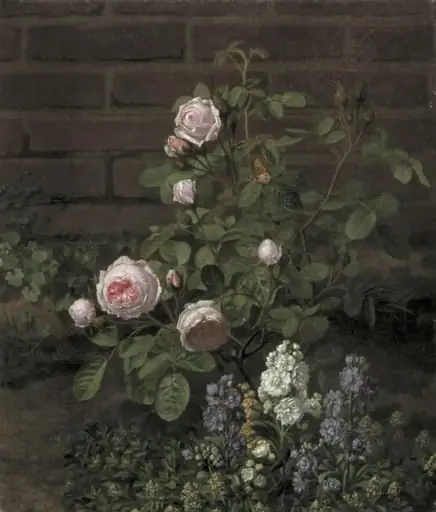 A Moss Rose Tree Sourrounded by Summer Flowers