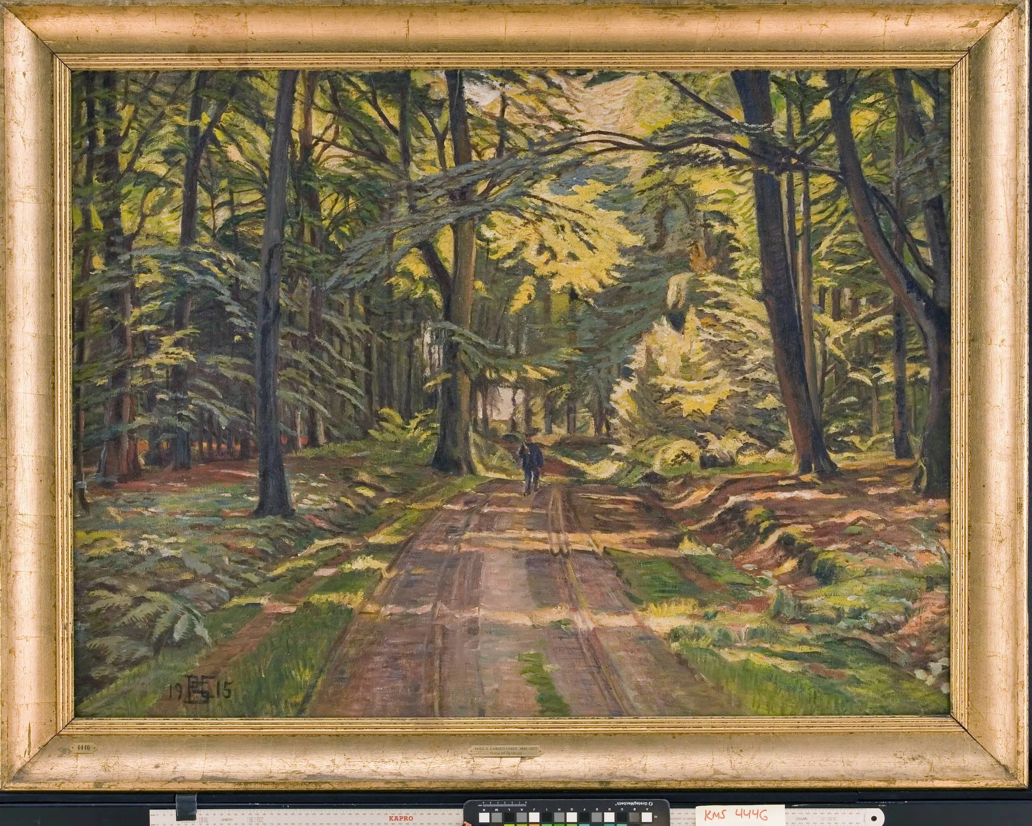 Skovvej ved Dyrnæs, by Unknown, 1915