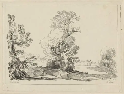 Landscape