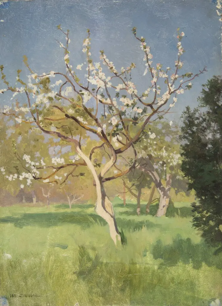 Apple-Tree in Blossom