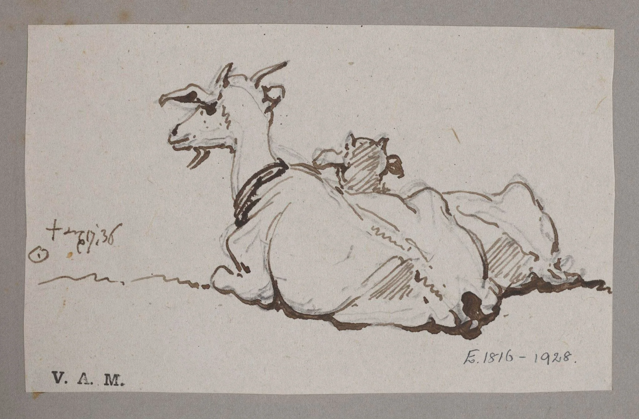 A goat and kid, by George Chinnery, 12