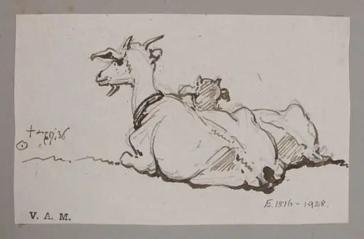 A goat and kid