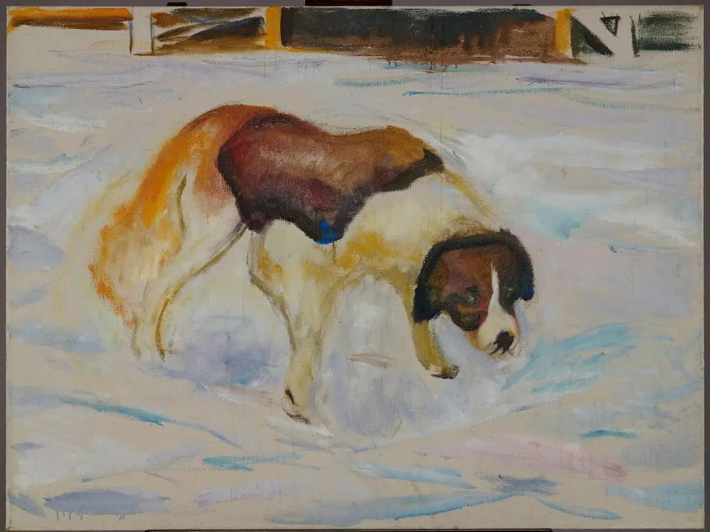 St. Bernhard Dog in Snow