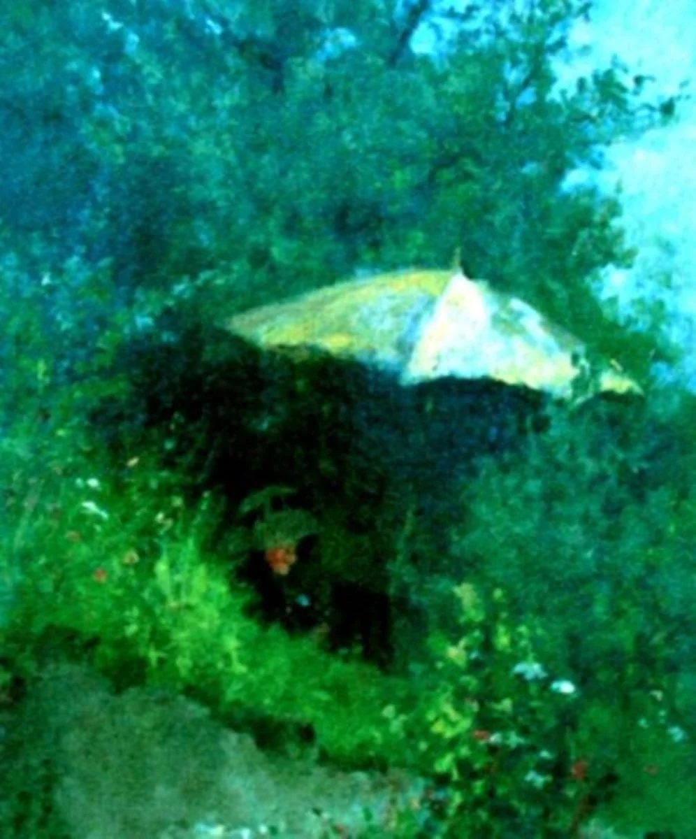 Pictoriță în peisaj, by Unknown, unspecified, 1879