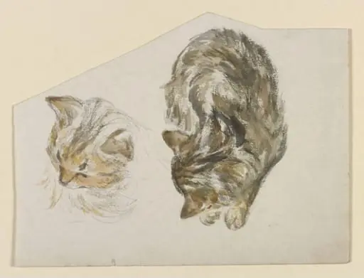 A kitten sleeping; head of a kitten