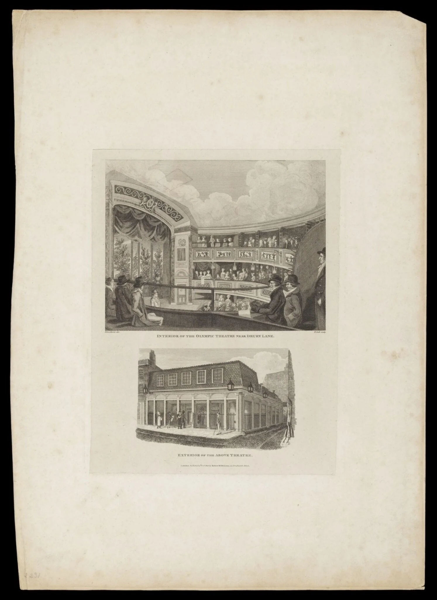 H Beard Print Collection