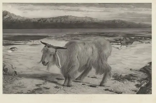 The Scapegoat