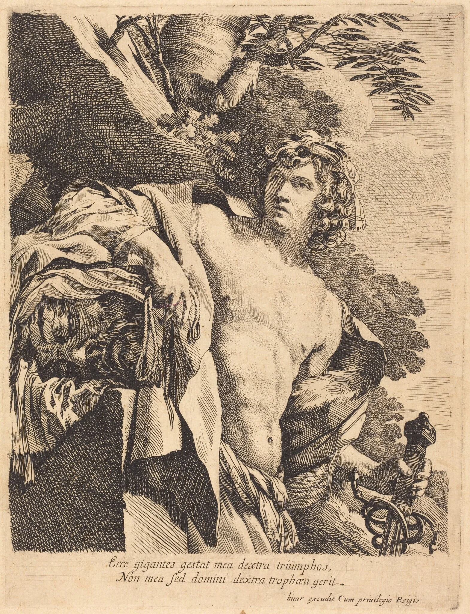 David with the Head of Goliath, by Pierre Mignard I, ink, 1630